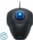 Kensington Orbit Scroll Ring Trackball schwarz, USB (K72337EU)