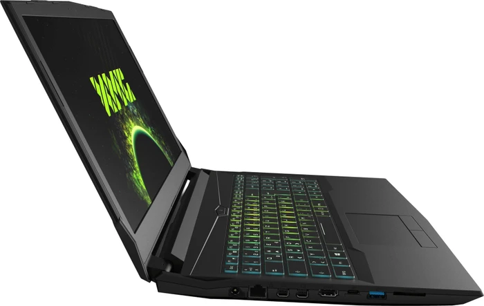 Schenker XMG A517-M18zdf, Core i7-8750H, 8GB RAM, 1TB HDD, GeForce GTX 1060, DE