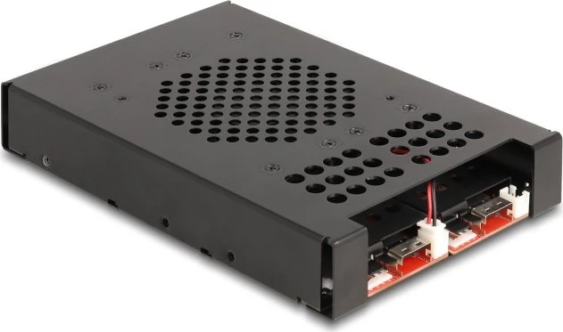 DeLOCK 3.5" Wechselrahmen 2x M.2 NVME SSD