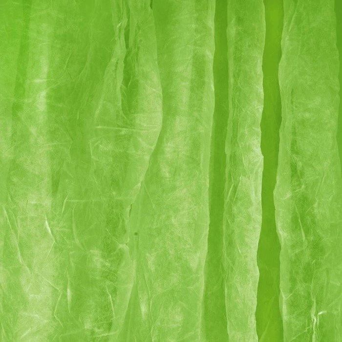 Walimex Pro Stoffhintergrund Grün 300x600cm