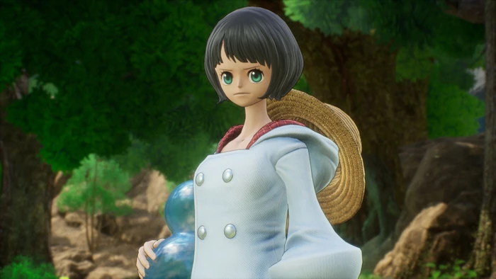 One Piece: Odyssey - Collector's Edition (PS4)