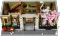 LEGO Icons - Naturhistorisches Museum Vorschaubild