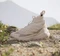 adidas Terrex Free Hiker 2.0 wonder beige/alumina (Damen) Vorschaubild