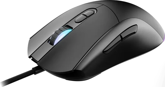 MSI Forge GM320 Gaming Mouse schwarz, USB