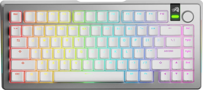 Glorious GMMK 3 Pro Wireless 75% Pre-built Gaming Keyboard, silber, LEDs RGB, Glorious Fox MX, USB, US