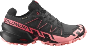 Salomon Speedcross 6 Gore-Tex nine iron/black (Damen)