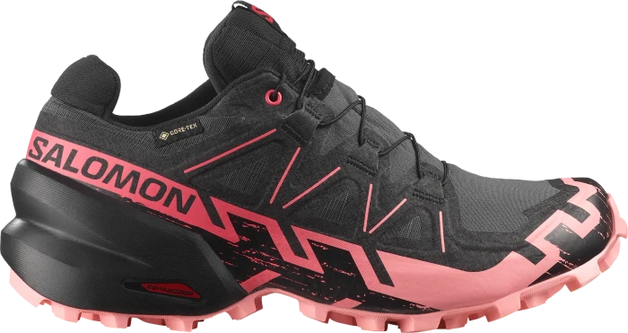 Salomon Speedcross 6 Gore-Tex nine iron/black (Damen)