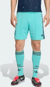 adidas FIFA WM 2026 Deutschland Auswärtsshorts flash aqua (Herren)