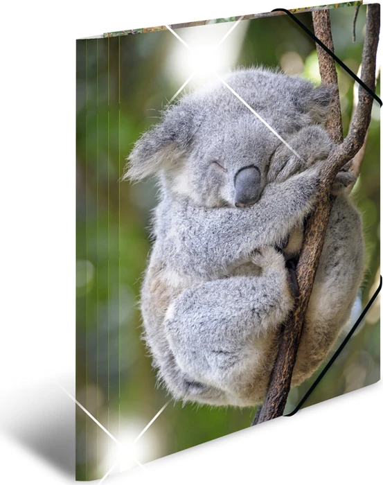Herma Glossy Tiere Sammelmappe, A4, Koala, 3er-Pack