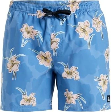Quiksilver Everyday Straight 15" Badeshorts backyards/coronet blue (Herren)
