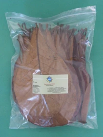 DRAK-Aquaristik Seemandelbaumblätter DRAK, standard, 100 Stück