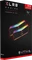 PNY XLR8 Gaming Epic-X RGB UDIMM 32GB Kit, DDR4-3600, CL18 Vorschaubild