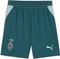 Puma Borussia Mönchengladbach 2026/2027 Heimshorts cold green/seafoam (Herren) Vorschaubild