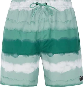 Protest Hamsey Badeshorts frosty green (Herren)