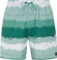 Protest Hamsey Badeshorts (Herren) Vorschaubild