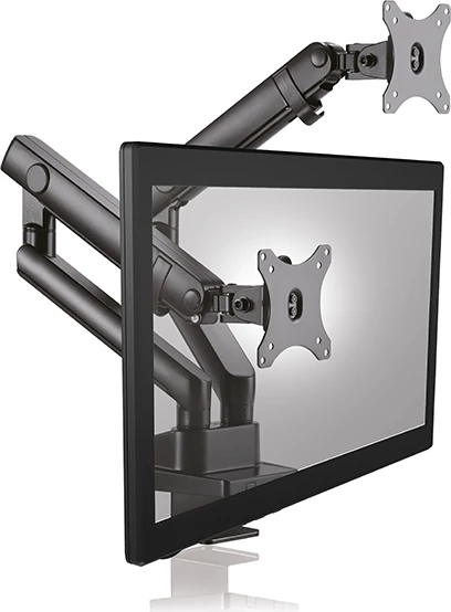 RaidSonic Icy Box IB-MS314-T