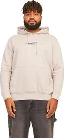 Jack & Jones Gedruckt Hoodie moonbeam (Herren)