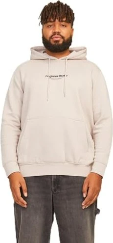 Jack & Jones Gedruckt Hoodie moonbeam (Herren)