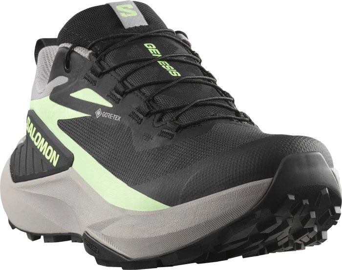 Salomon Genesis GTX black/gull/patina green (Damen)