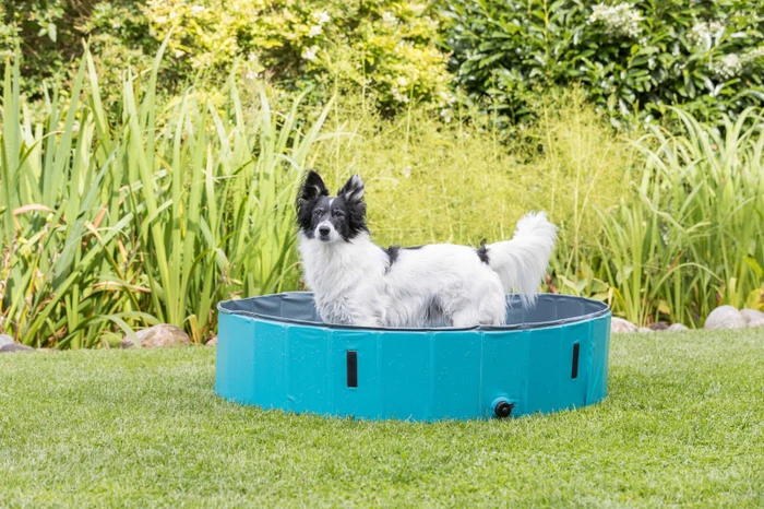 Trixie Hundepool, 70cm