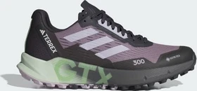 adidas Terrex Agravic Flow GTX 2.0 preloved fig/silverdawn/semi green spark (Damen)