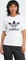 adidas Trefoil Regular T-Shirt kurzarm weiß (Damen) Vorschaubild