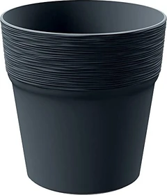 Prosperplast Furu 17.8cm anthrazit