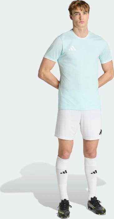 adidas Entrada 26 Trikot kurzarm halo mint/white (Herren)