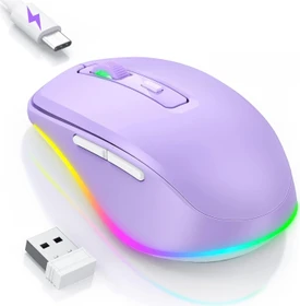 Seenda Rechargeable Wireless RGB Mouse mit Jiggler-Funktion, violett, USB (SEYC-JY203-PURPLE)