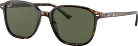 Ray-Ban RB2193 Leonard 53mm tortoise/green classic