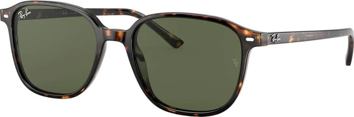 Ray-Ban RB2193 Leonard