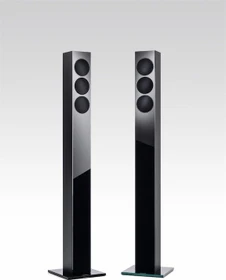Revox Column G70 schwarz, Stück