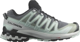Salomon XA Pro 3D V9 quiet shade/lily pad/blue haze (Damen)