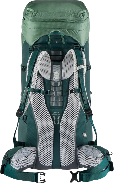 Deuter Aircontact Lite 60+10 SL aloe/forest (Damen)