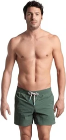 Arena Team Stripe Badeshorts sage (Herren)
