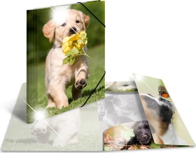 Herma Glossy Tiere Sammelmappe, A4, Hunde, 3er-Pack