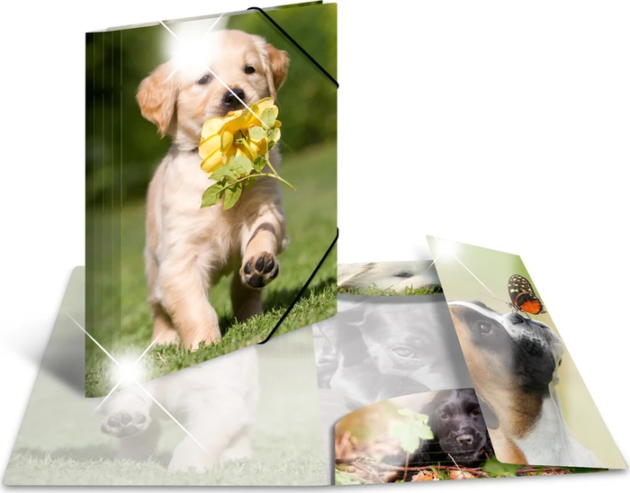 Herma Sammelmappe Glossy Tiere A4