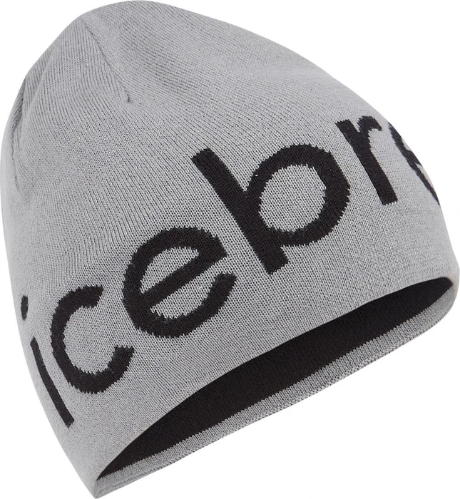 Icebreaker Merino Beanie