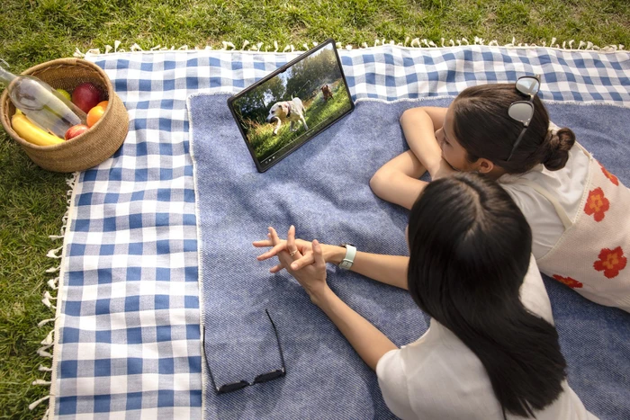 Samsung Galaxy Tab S9 Ultra X910, Graphite, 16GB RAM, 1TB
