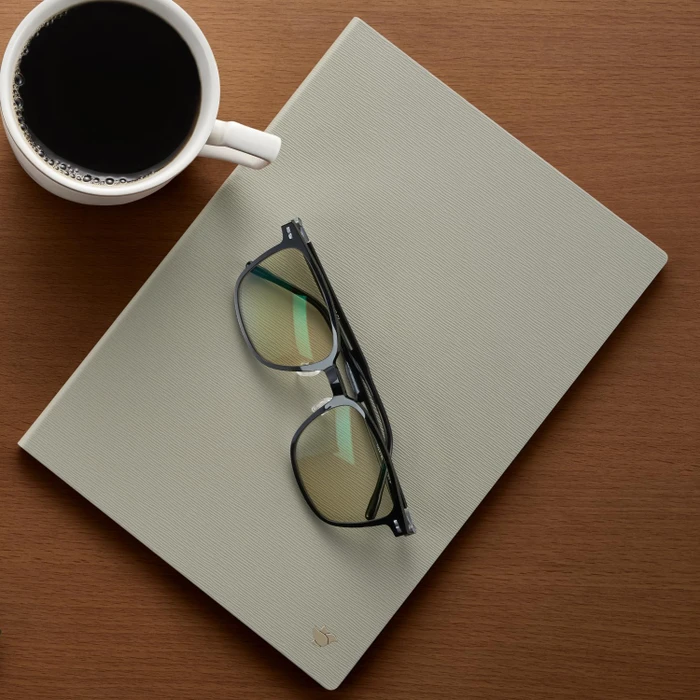 iFLYTEK Folio-Schutzhülle AINOTE 2, Kunstleder, grau