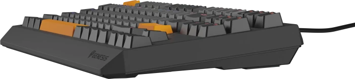Genesis Thor 230 TKL, Anchor Gray Negative, LEDs RGB, hot-swap, Outemu Red, USB, US