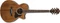 Ibanez AE245 NT Natural High Gloss Vorschaubild
