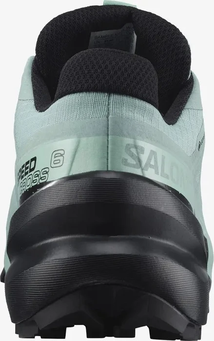 Salomon Speedcross 6 Gore-Tex aquifer/black/yucca (Damen)