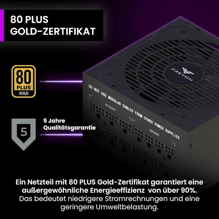 Preyon Eagle Power Gold schwarz 750W, ATX 3.1
