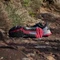 adidas Terrex Soulstride grey four/dash grey/pure ruby (Herren) Vorschaubild