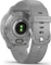 Garmin Venu 2 Plus silver/powder grey Vorschaubild