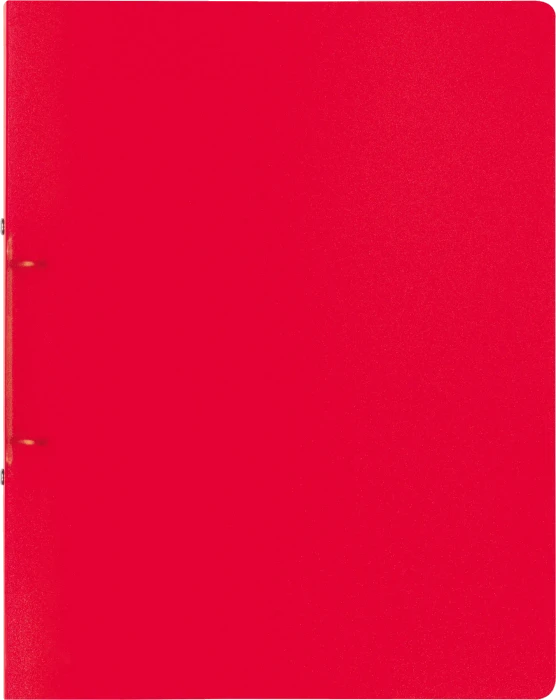 Brunnen FACT!pp Ringbuch 2-Ring, 20mm, A4, rot/transparent