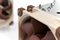 Noctua NH-U9S Vorschaubild