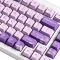 Akko MOD 007 HE, Purple Melody, LEDs RGB, hot-swap, Cream Yellow Magnetic, USB/Bluetooth, US Vorschaubild