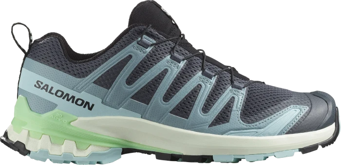 Salomon XA Pro 3D V9 iron/shadow grey/huckleberry (Damen)